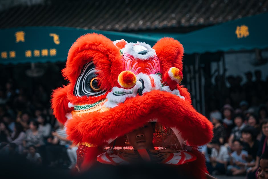 文章配图