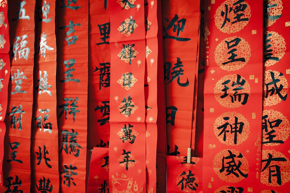 文章配图