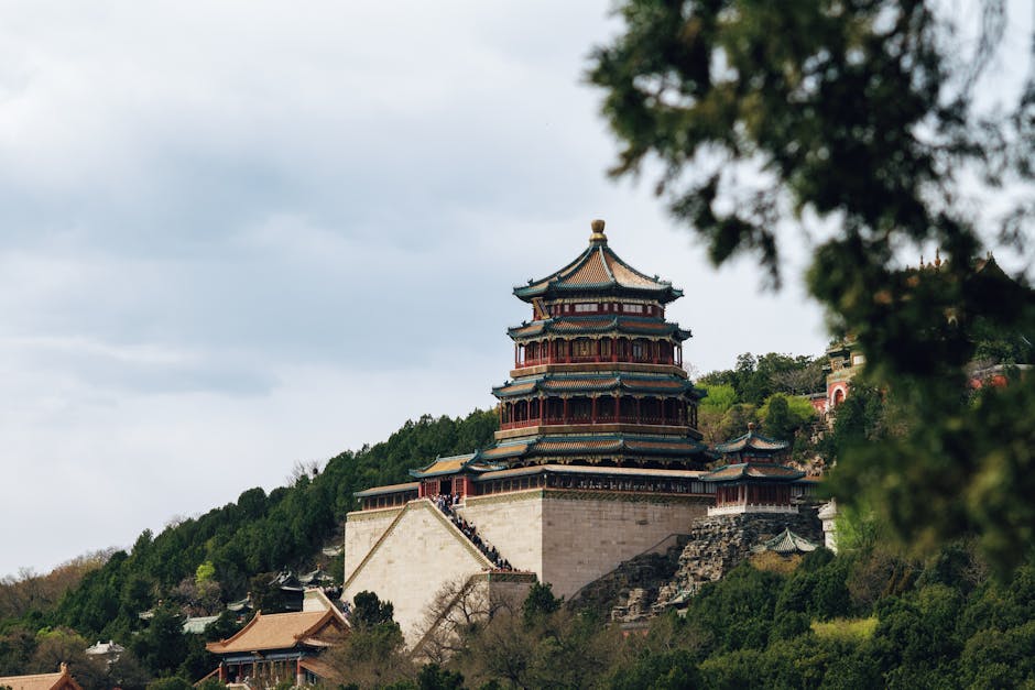 配图