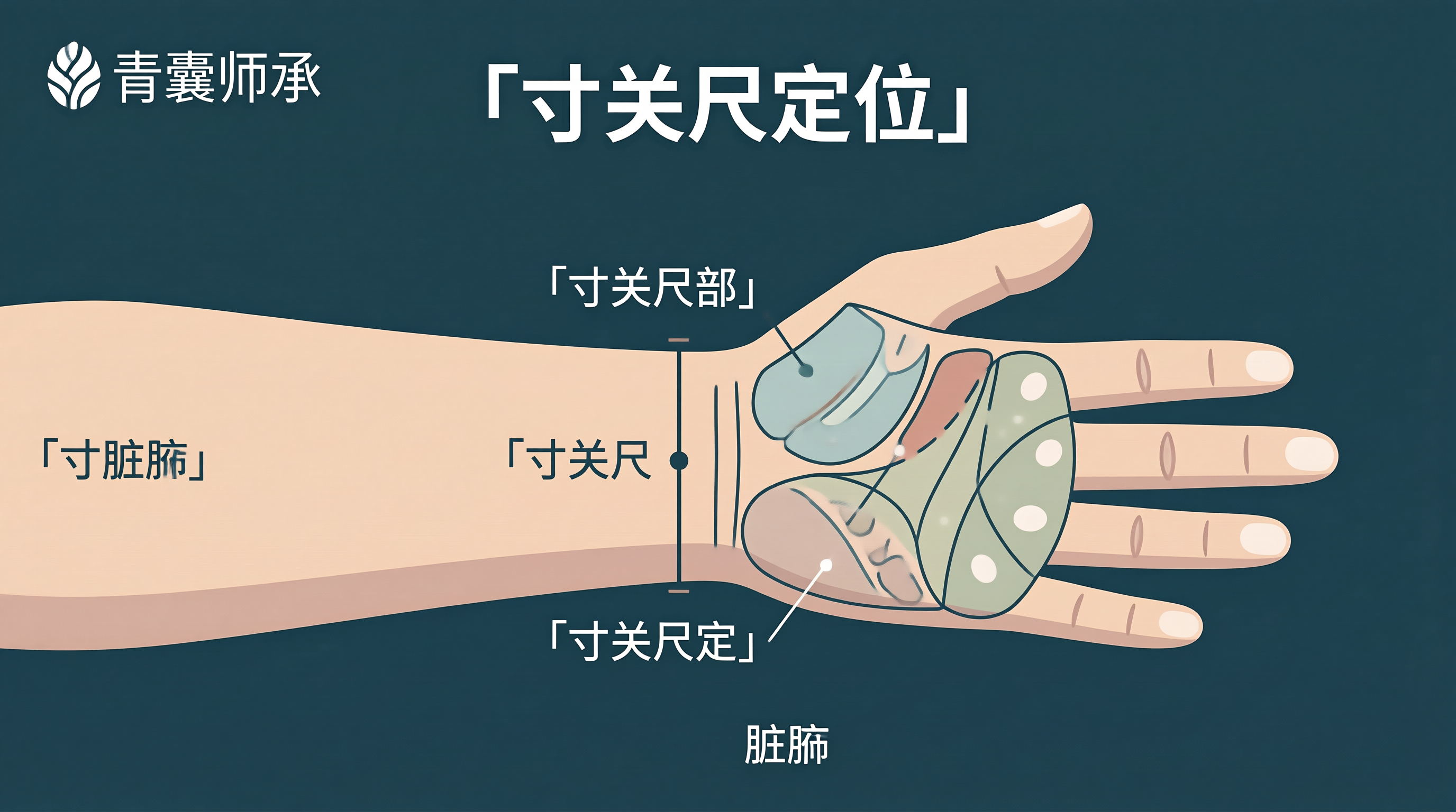寸关尺定位图