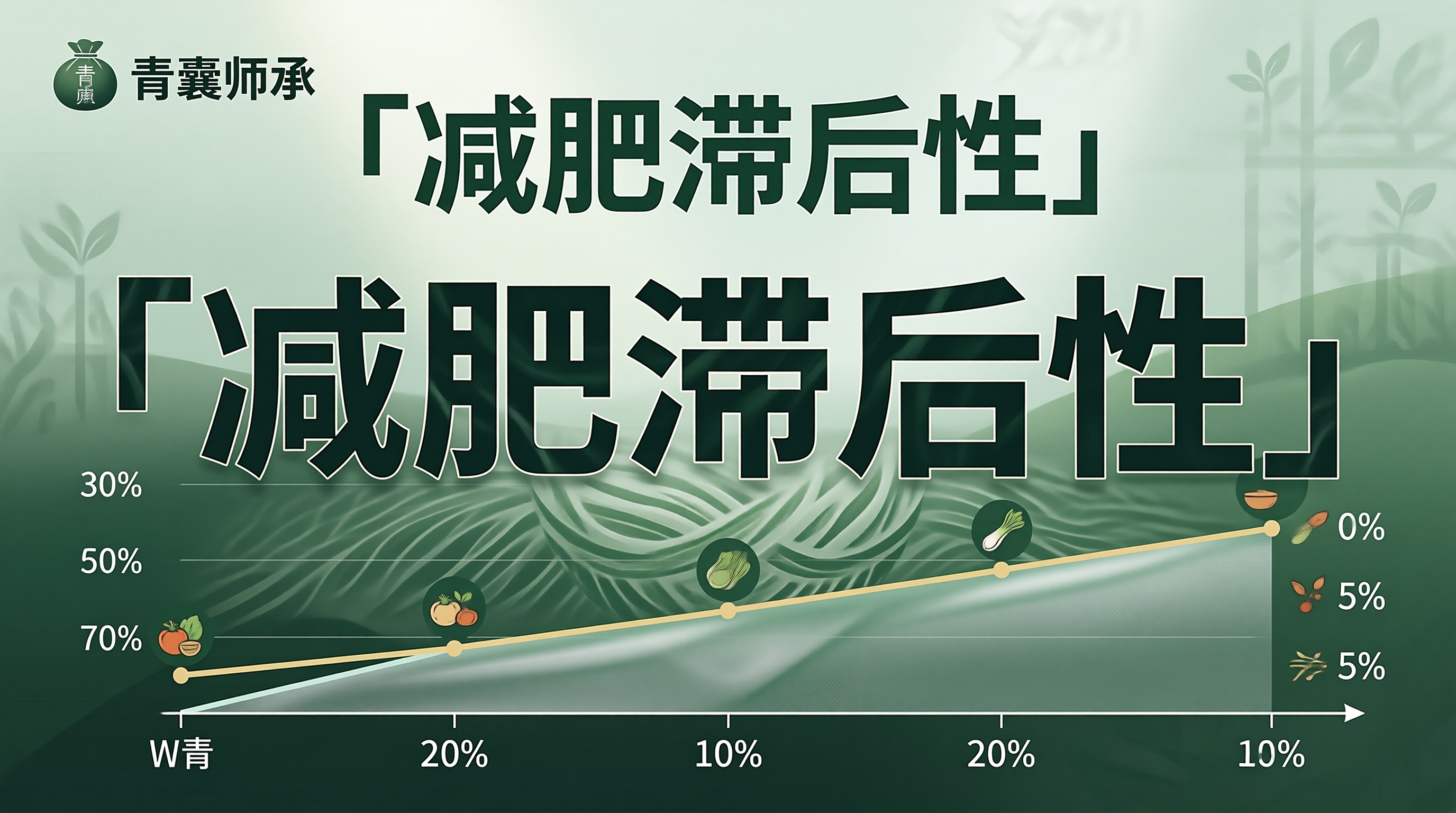 减肥滞后性中医调理