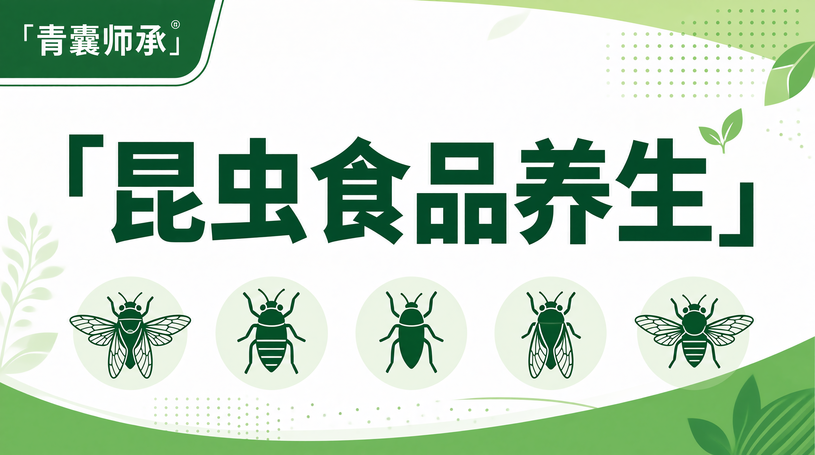 昆虫食品食疗养生