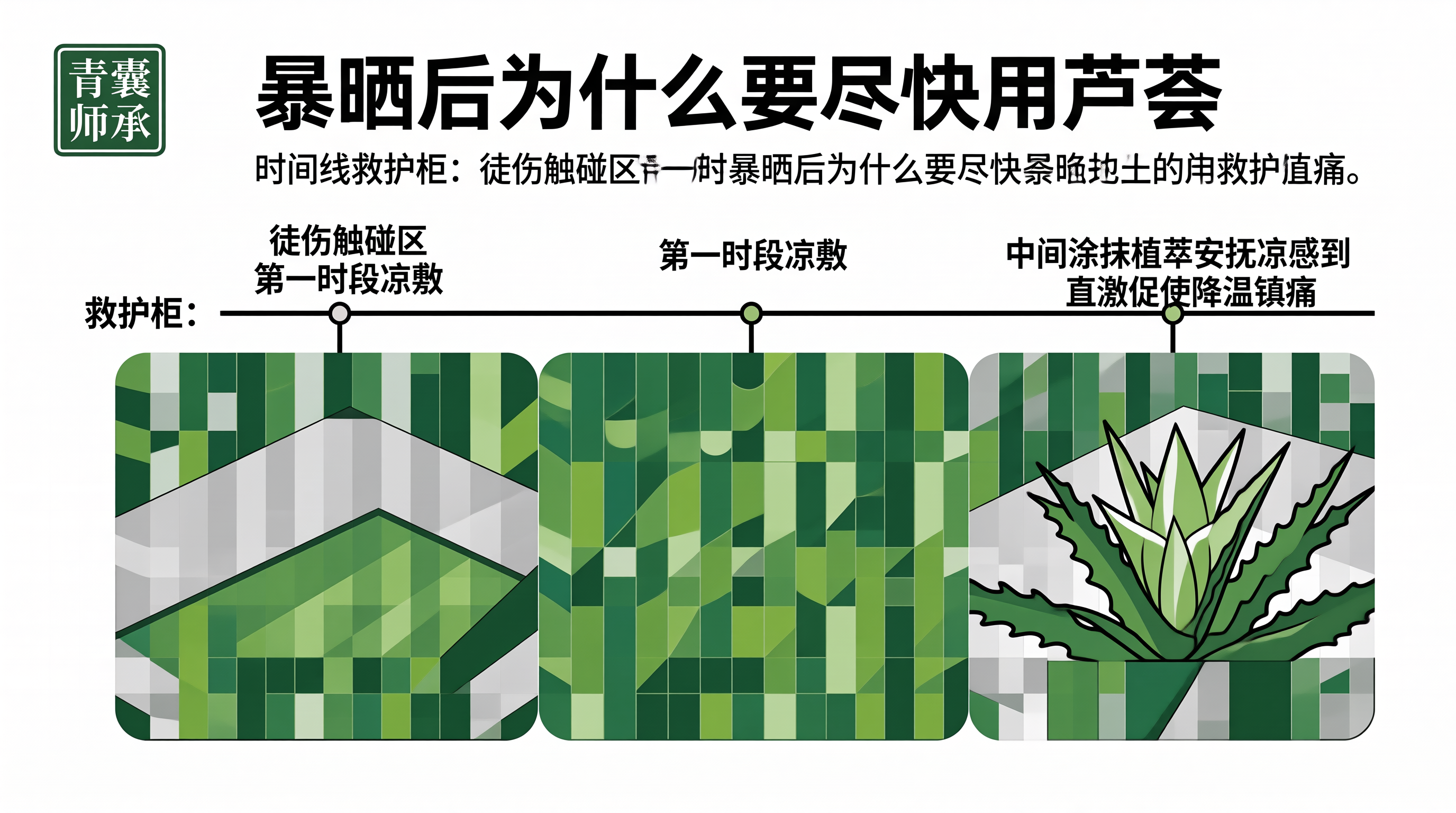 青囊师承