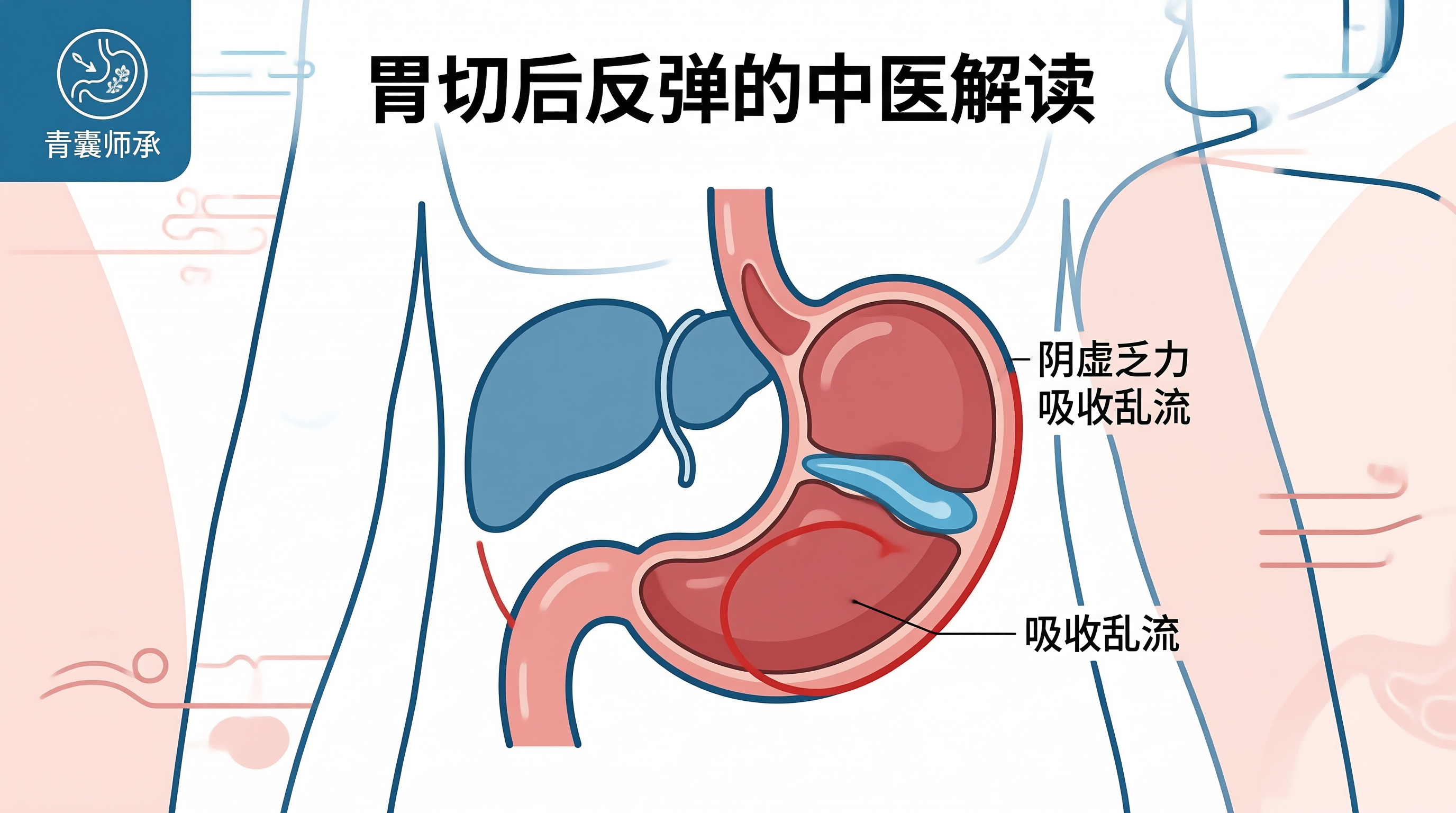 青囊师承