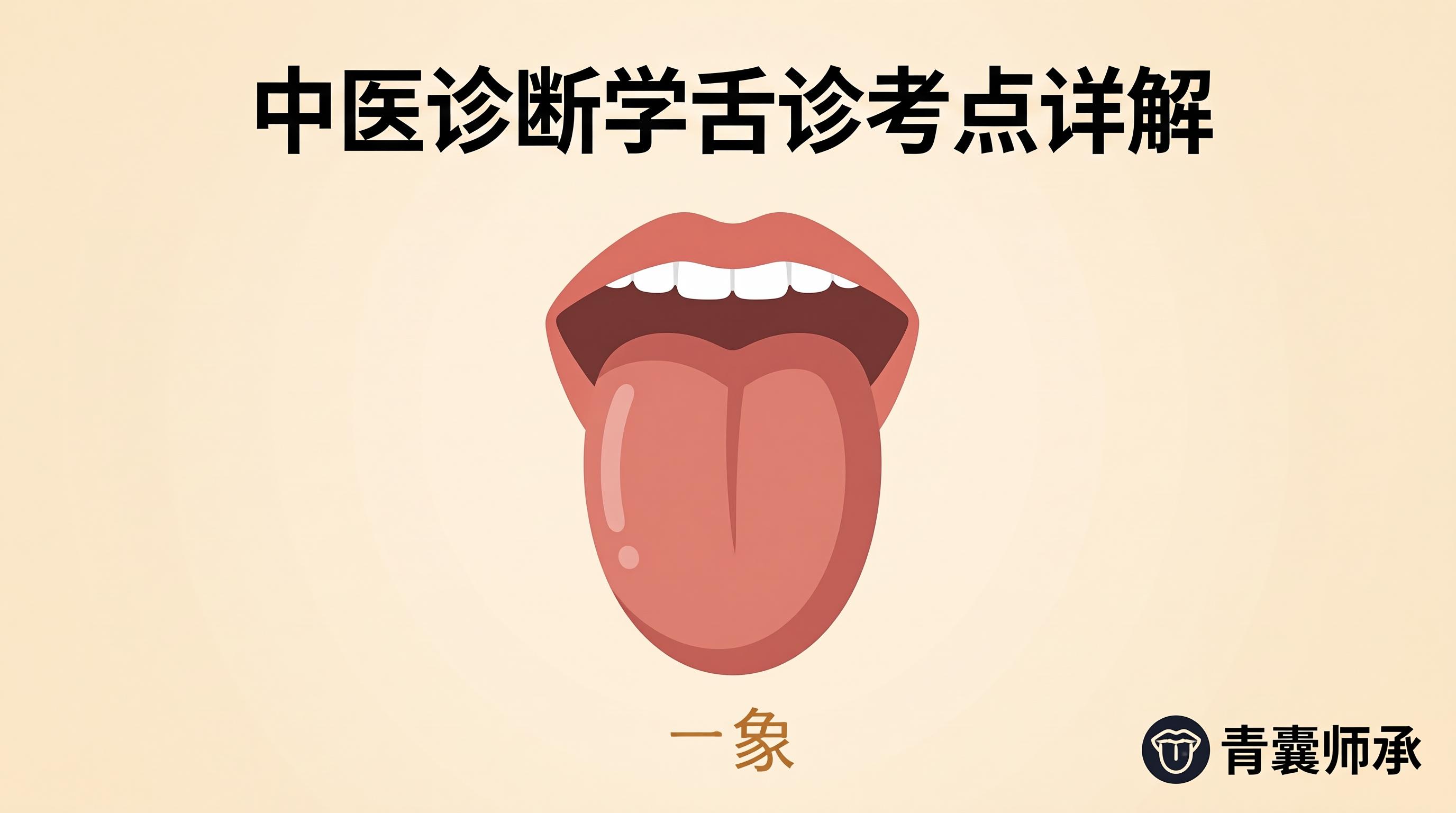 河南中医师承出师考核中医诊断学