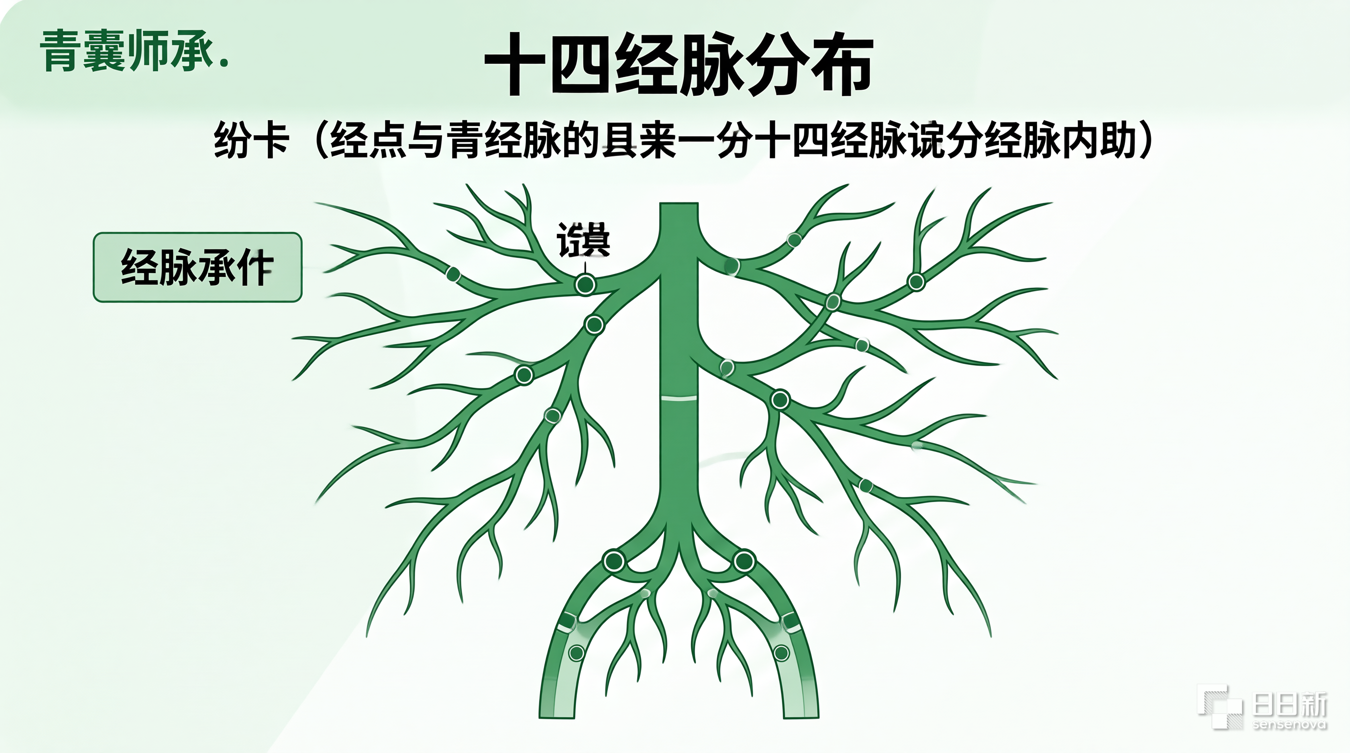 青囊师承