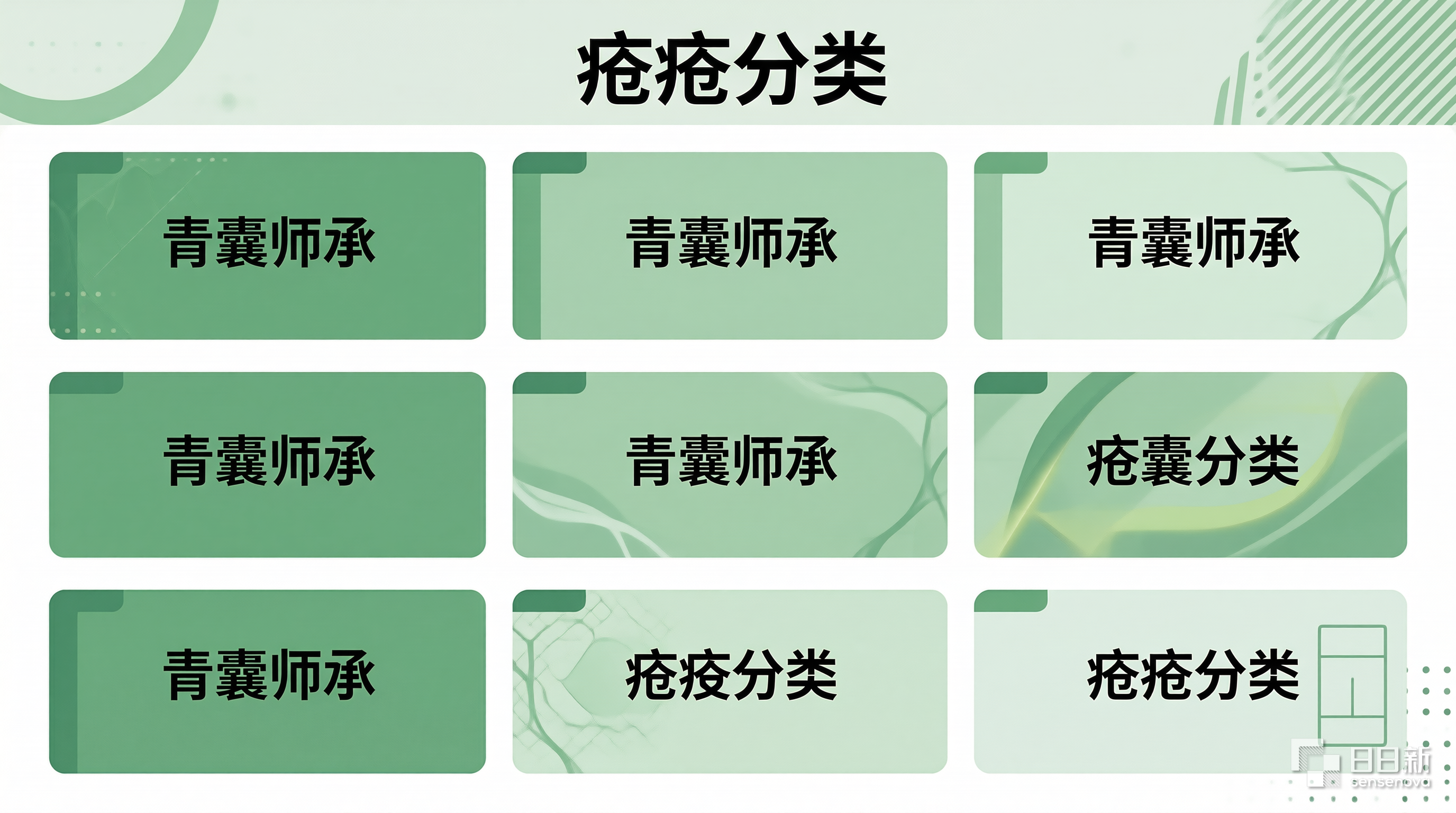 青囊师承