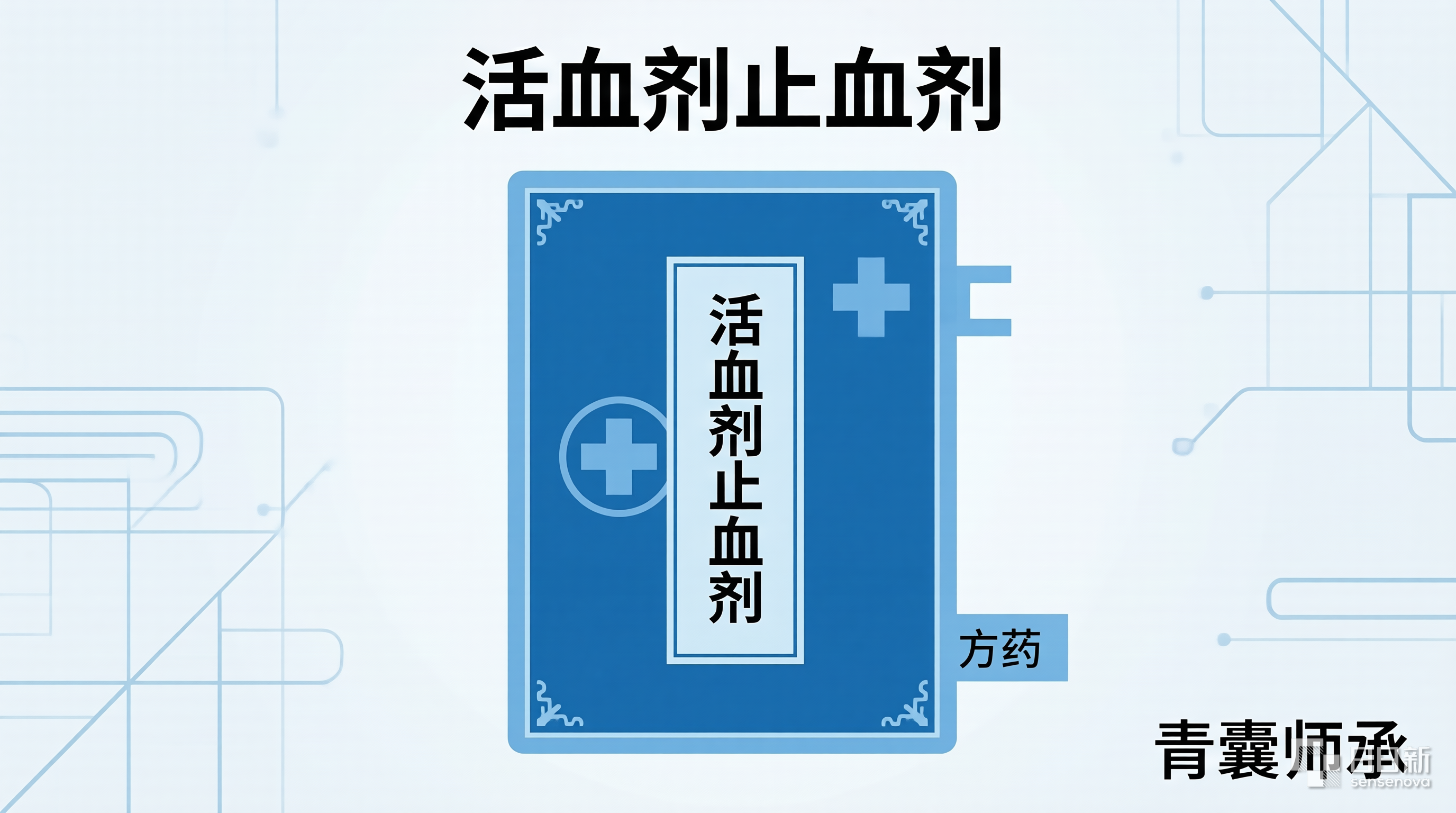 青囊师承