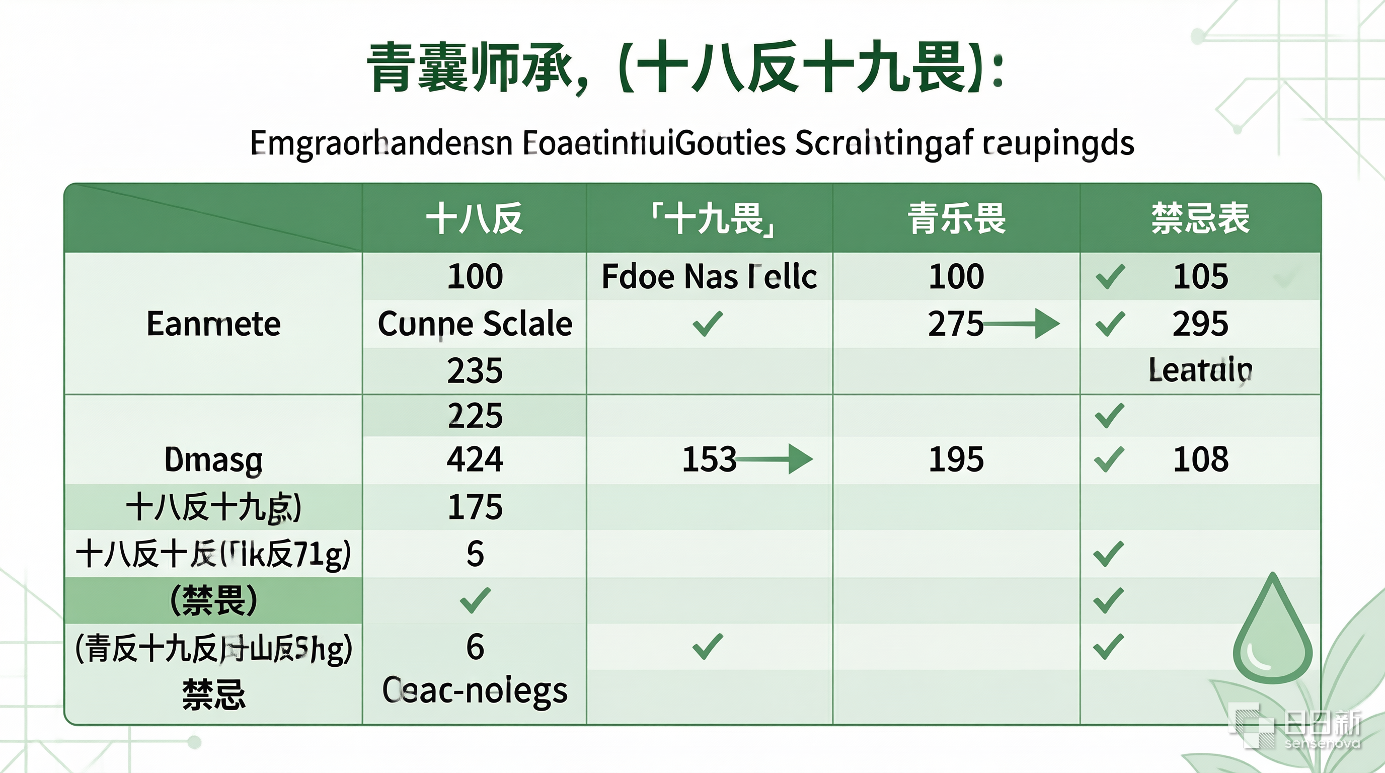 青囊师承