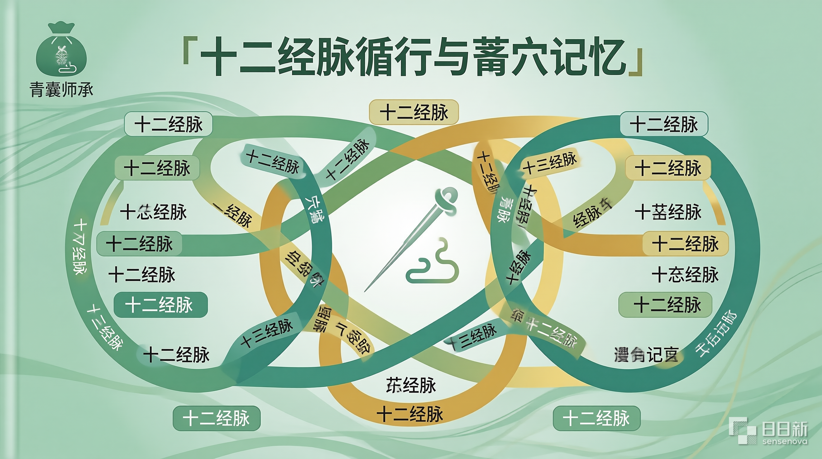 师承学员跟诊针灸学十二经脉循行和腧穴主治实用记忆方法
