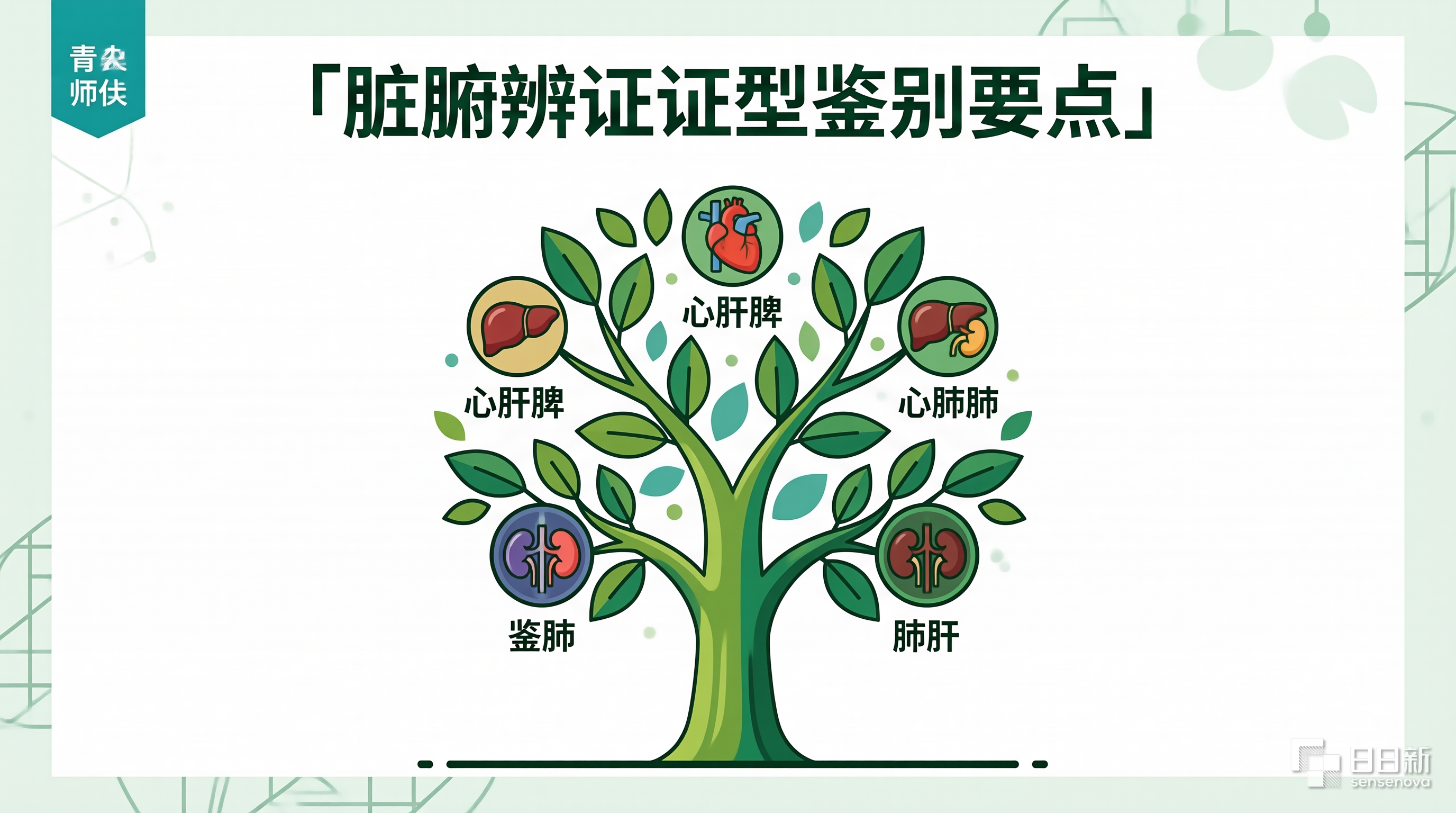 师承学员跟诊中医诊断学脏腑辨证各证型鉴别要点实战经验总结