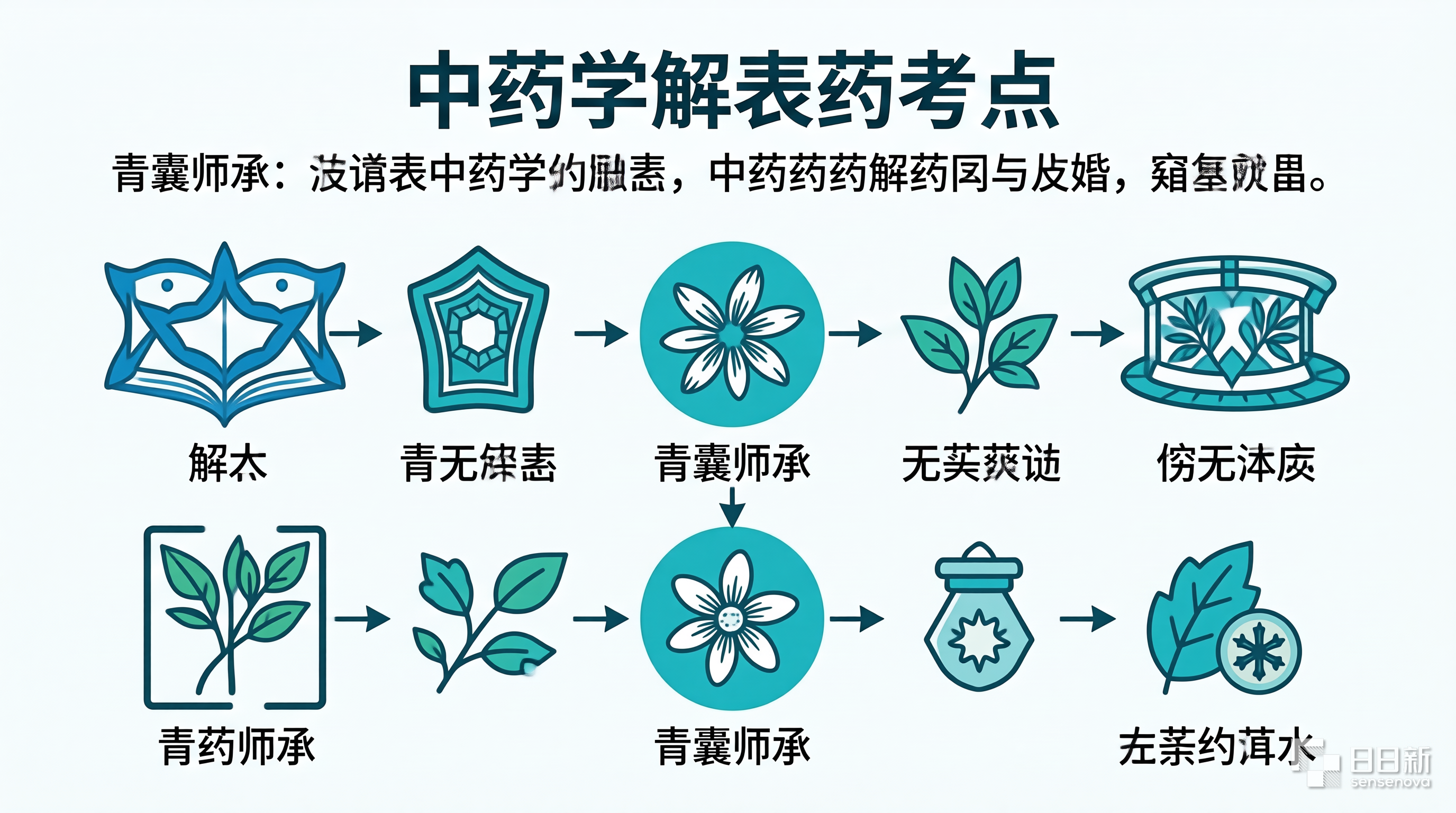 河南中医师承出师考核综合笔试中药学解表药发散风寒发散风热药物功效考点参考
