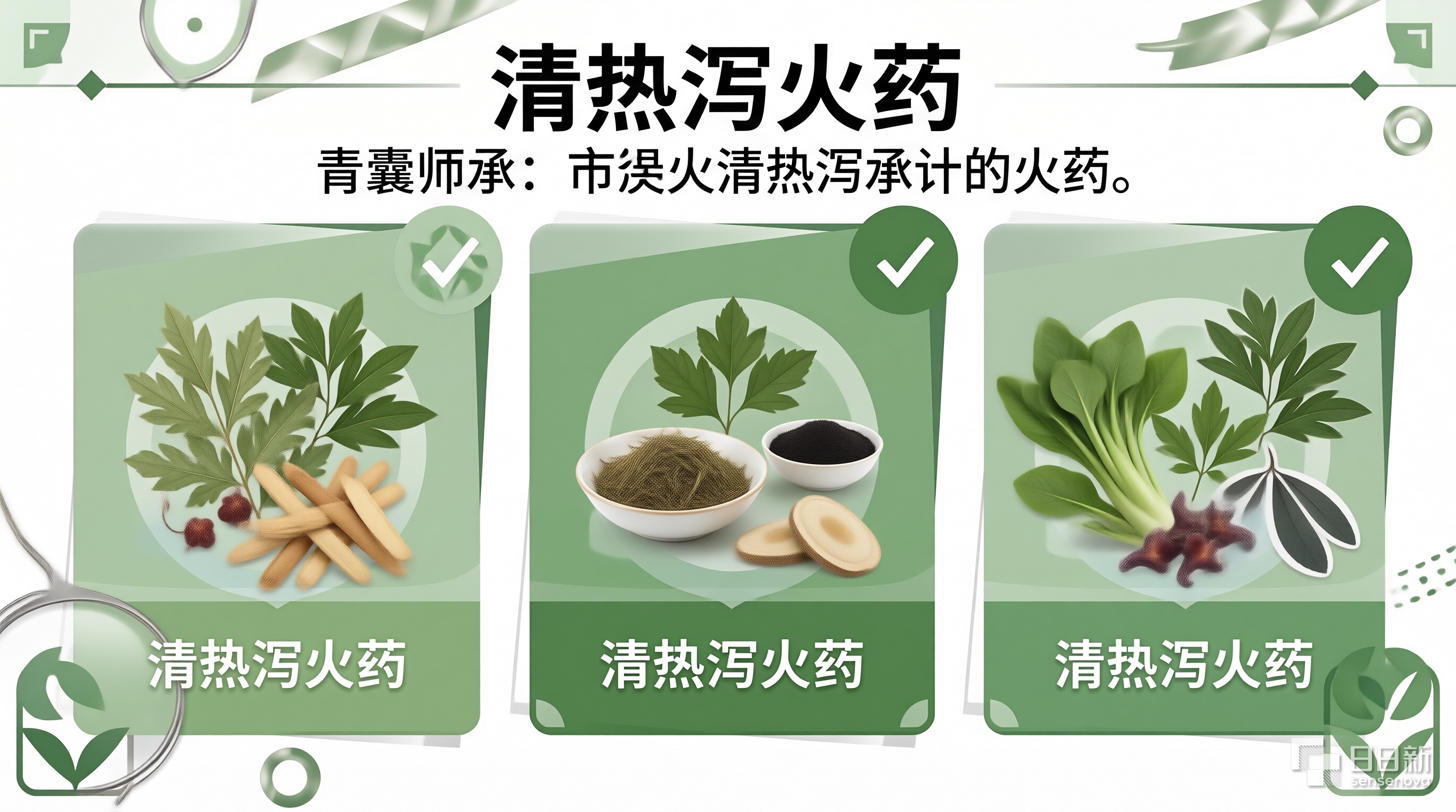 清热燥湿药物