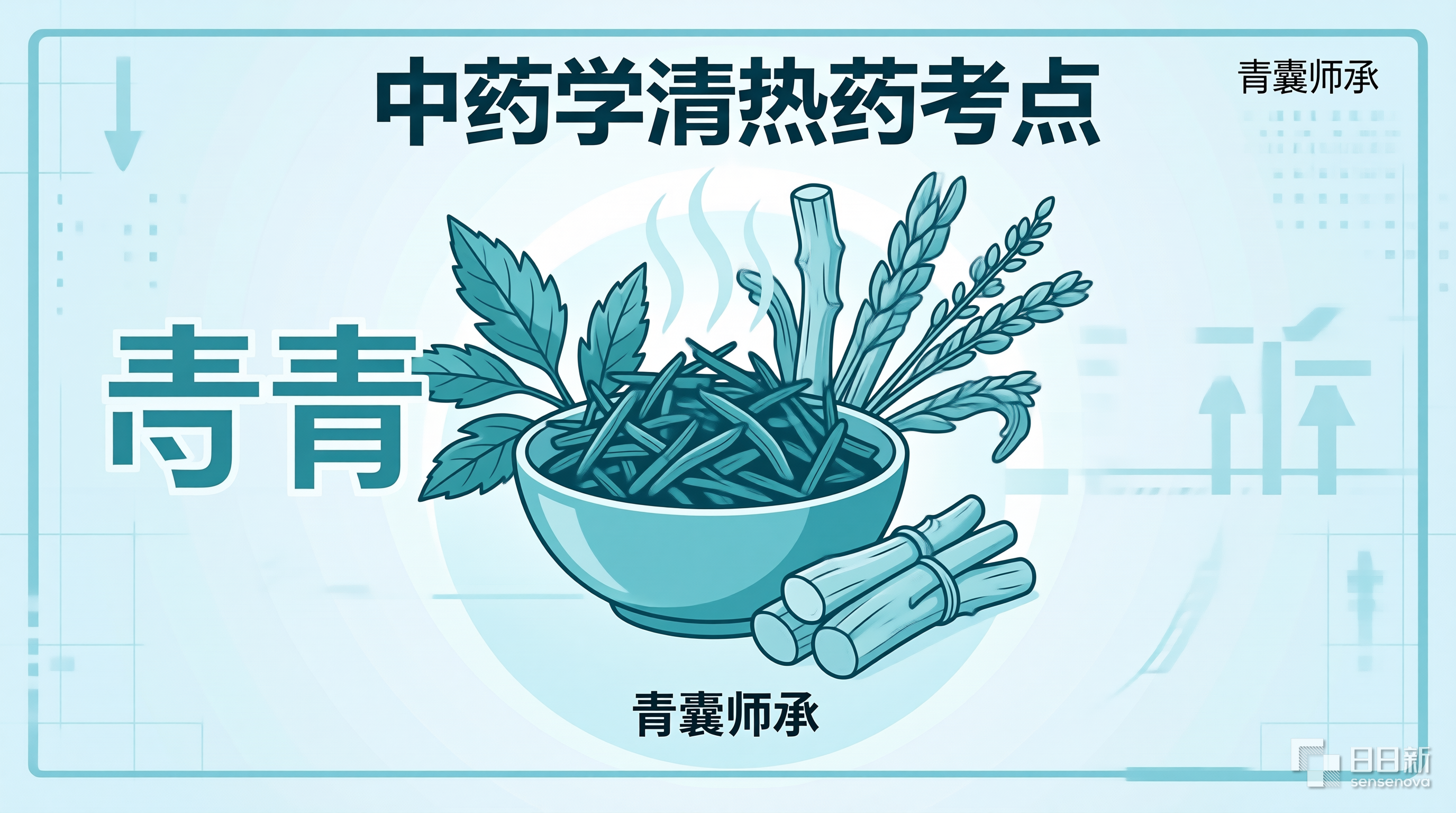 河南中医师承出师考核综合笔试中药学清热药清热泻火清热燥湿清热解毒考点参考