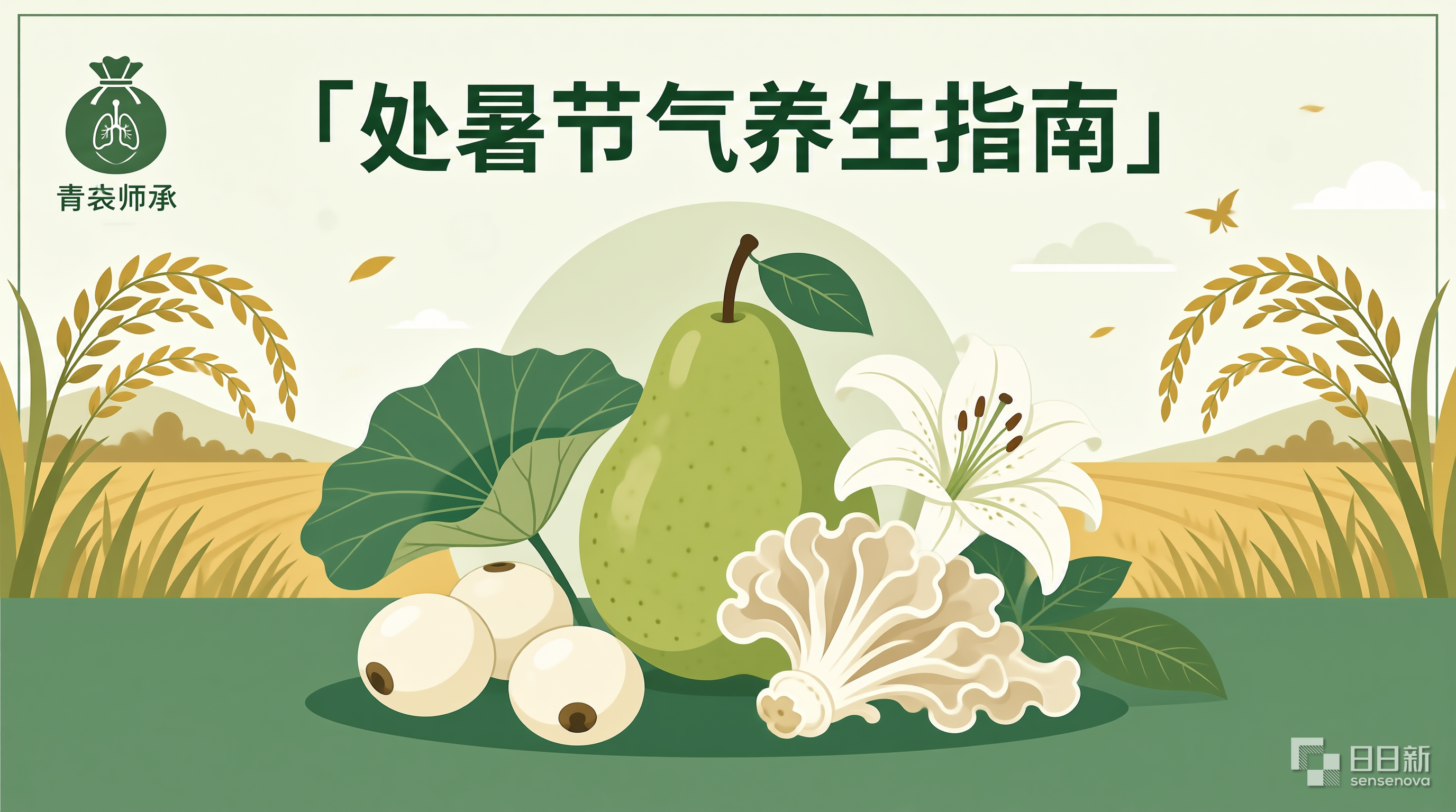 处暑节气中医养生饮食调理原则秋燥润肺食谱和体质调理方法参考