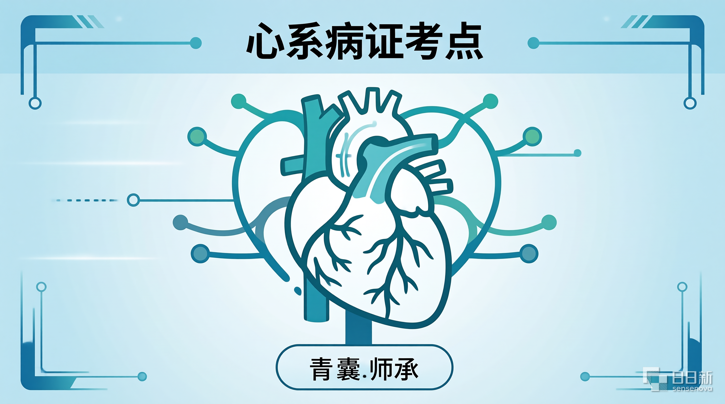 心系病证考点