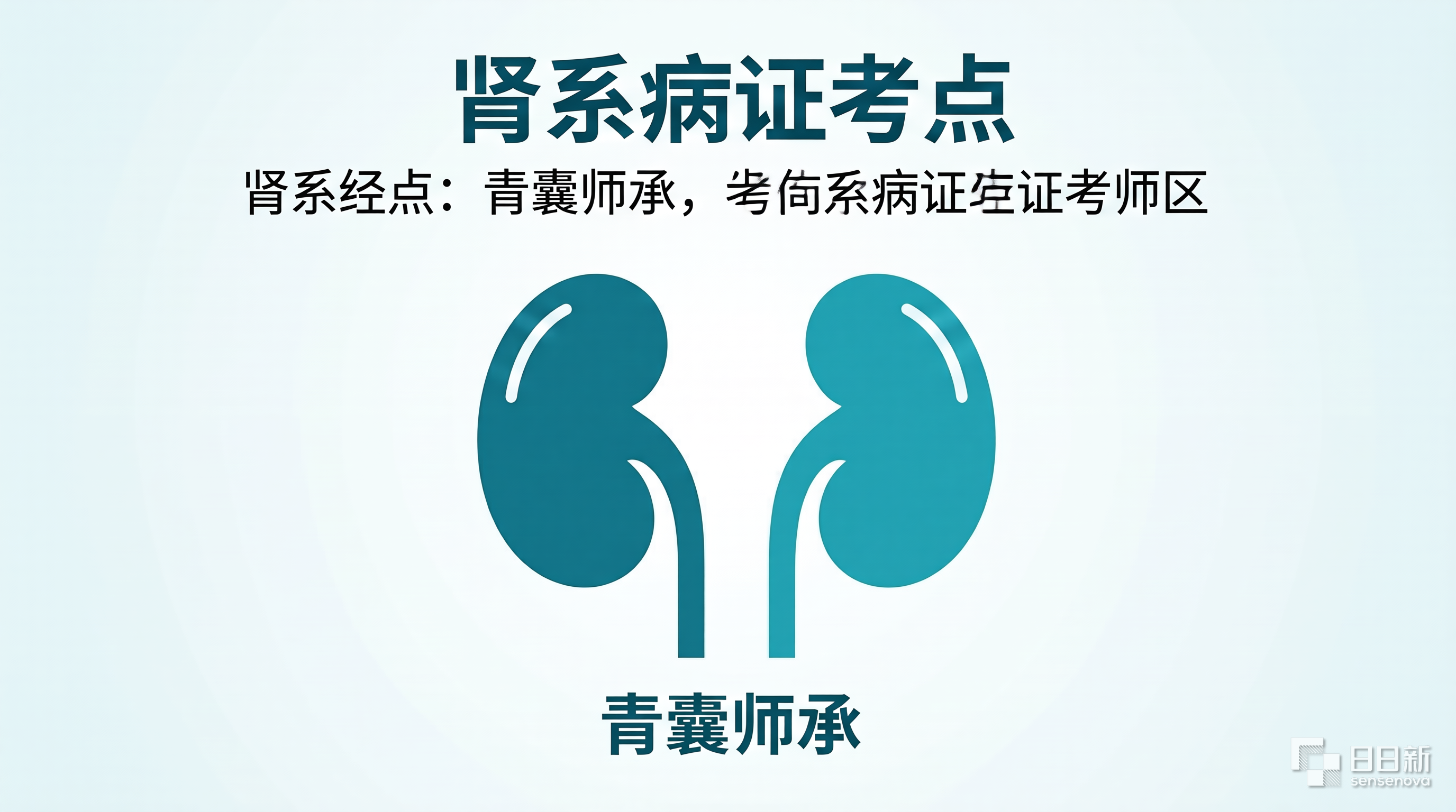 肾系病证考点