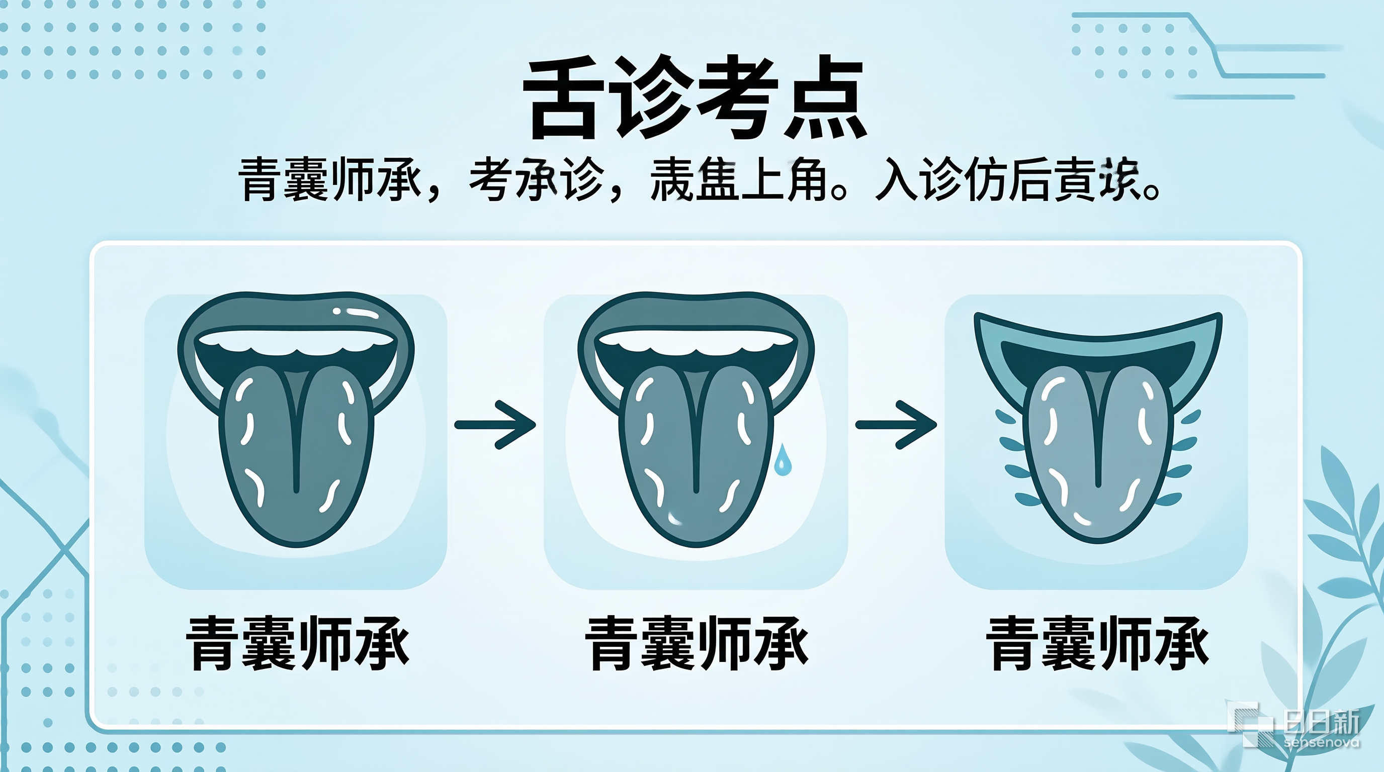 舌诊考点