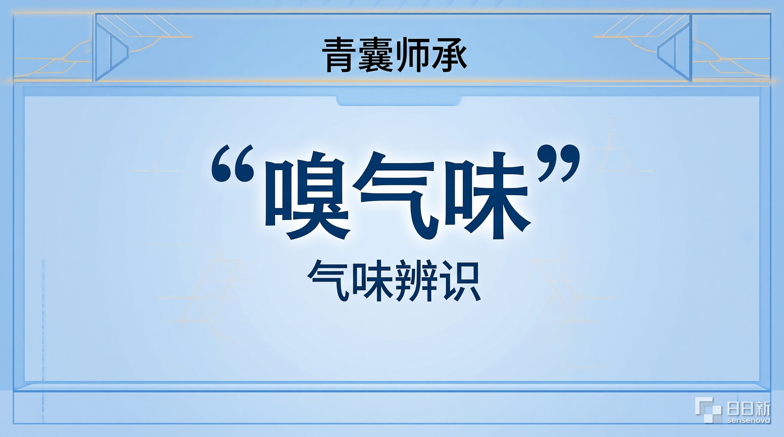 嗅气味分类