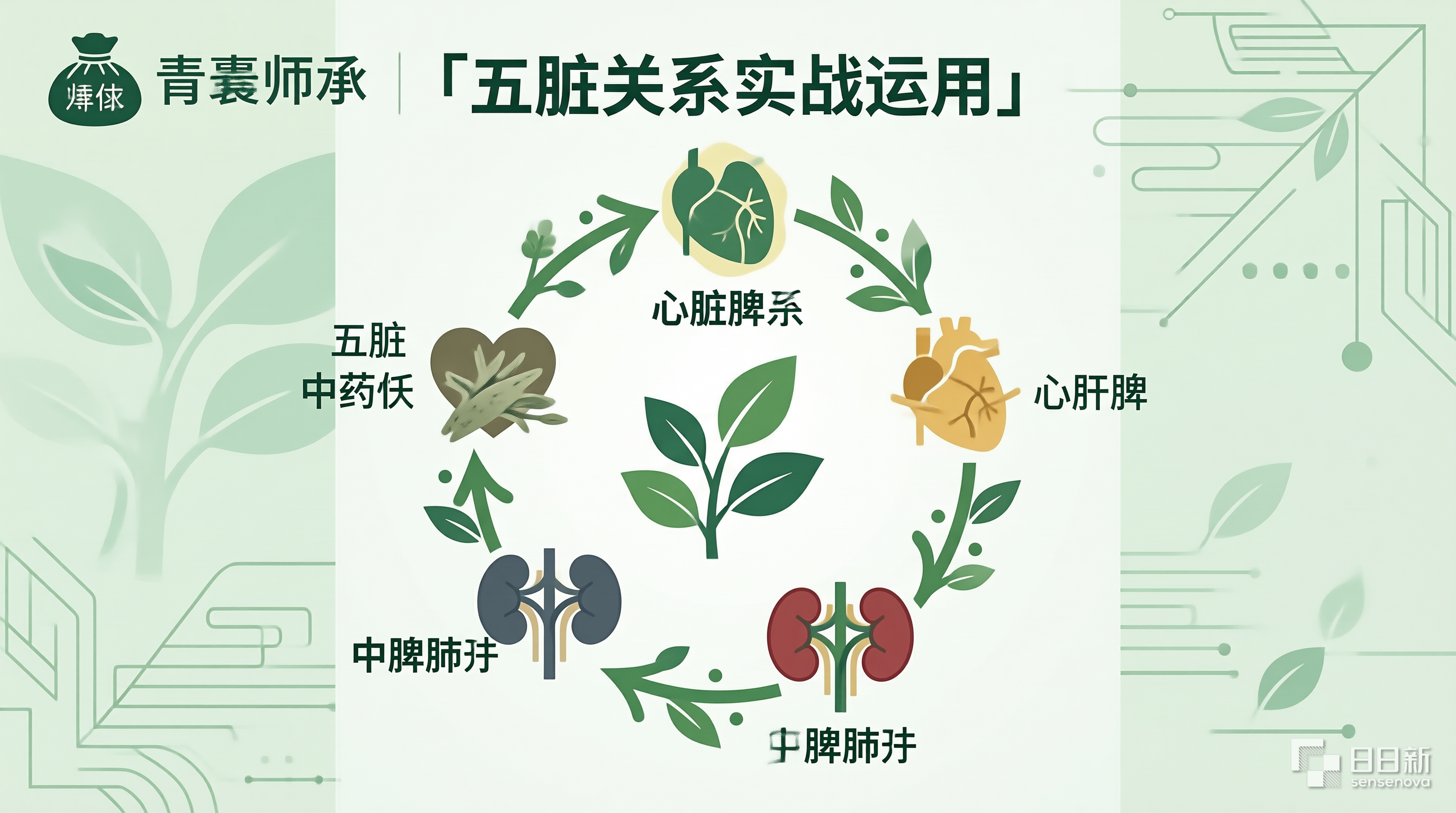 师承学员跟诊学习中医基础理论五脏关系的实战运用