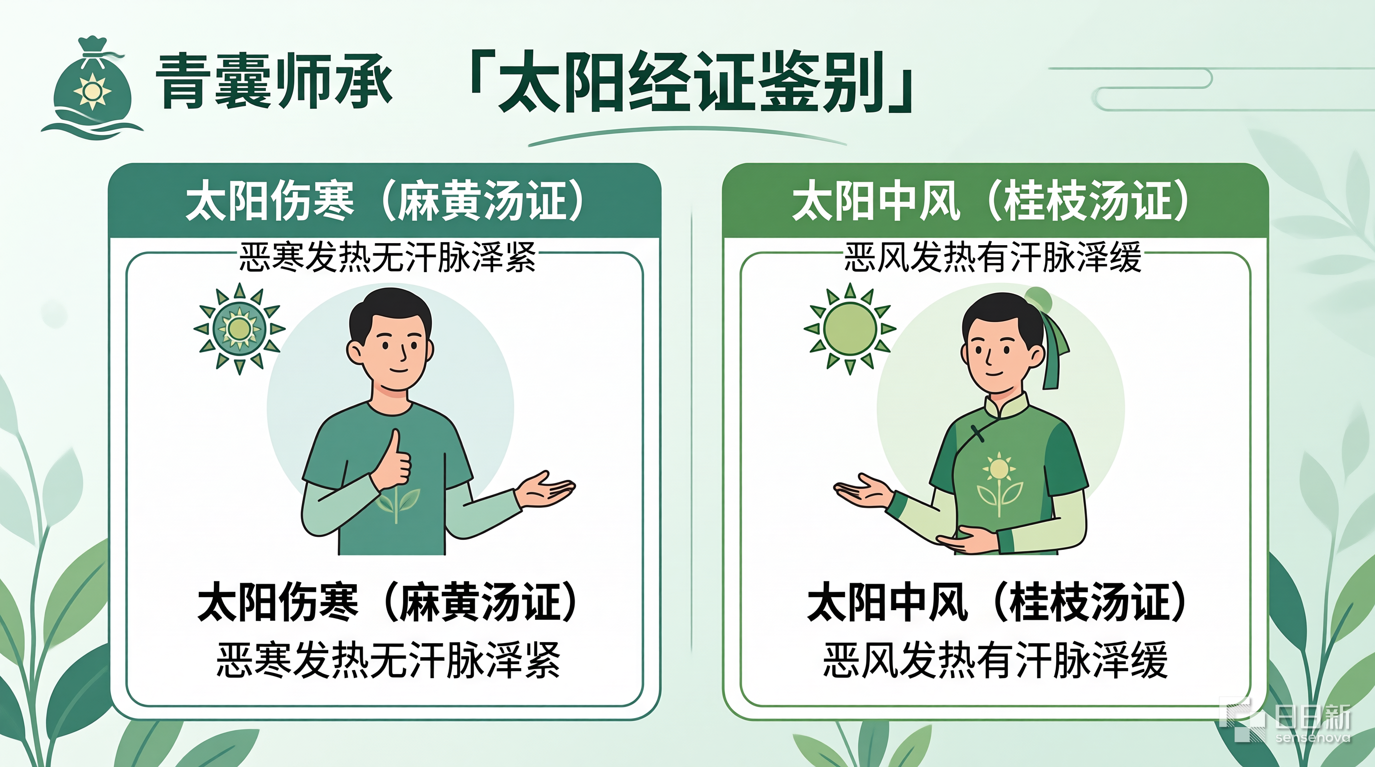 太阳经证鉴别