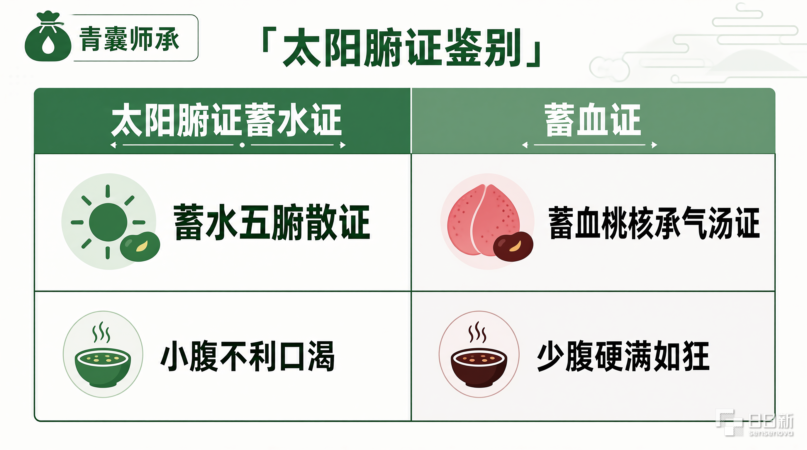 太阳腑证鉴别