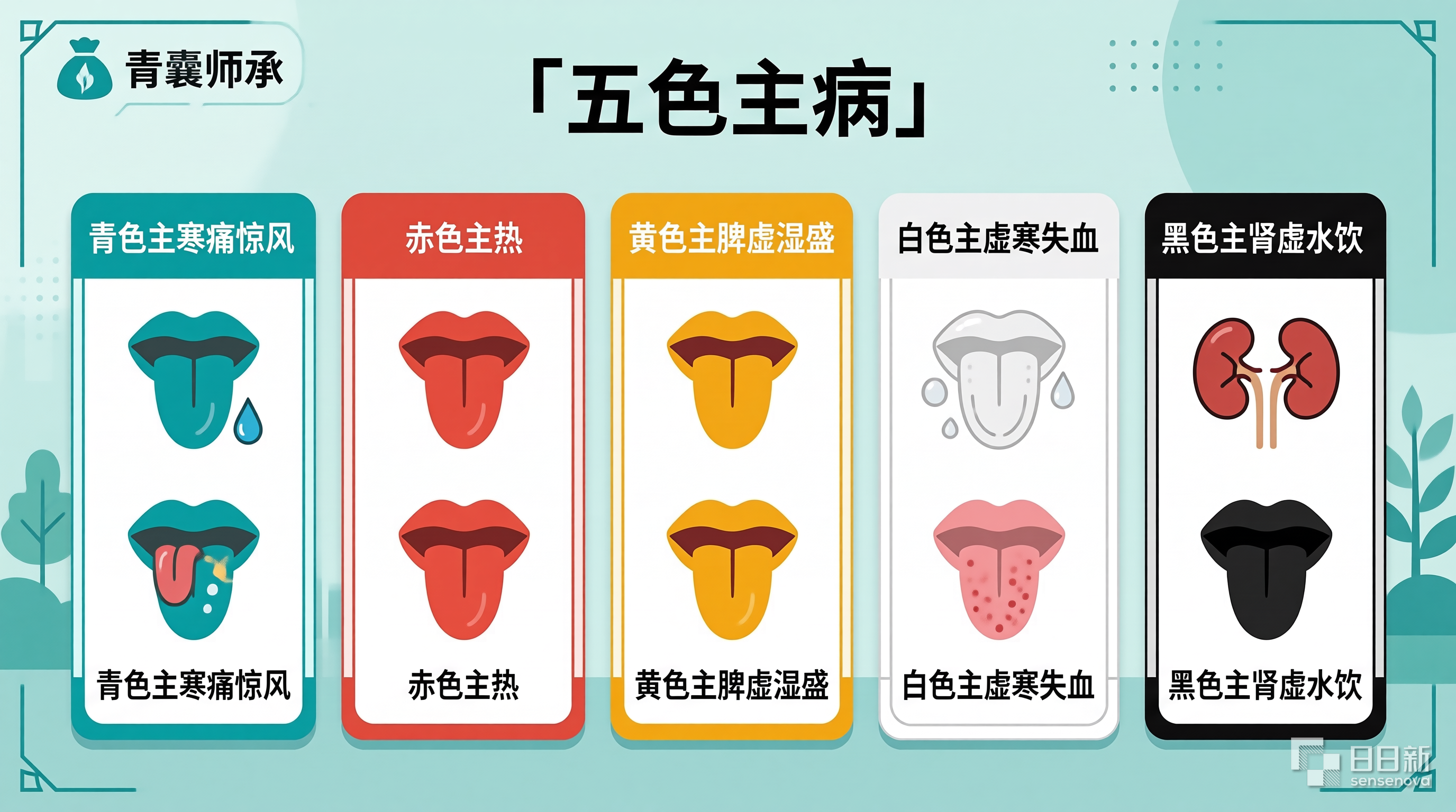 五色主病