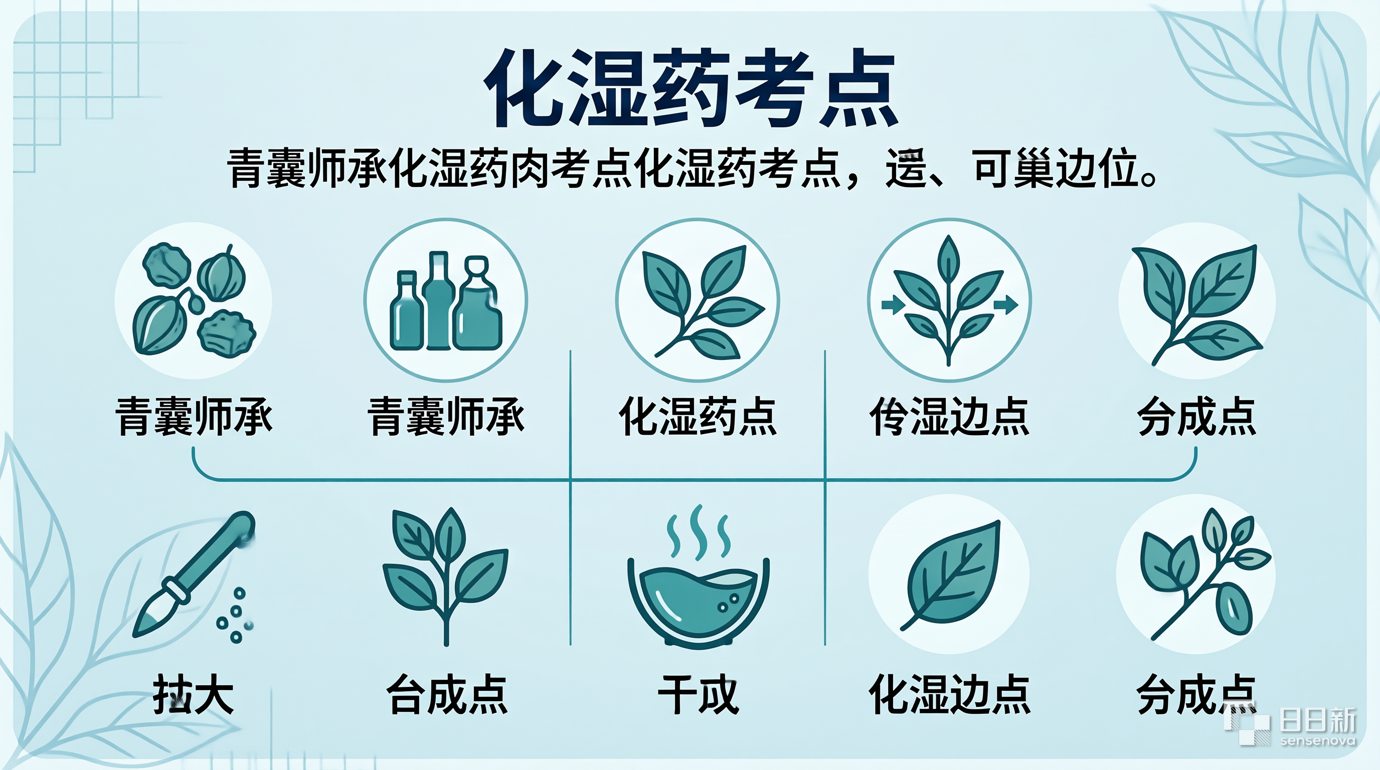 化湿药考点