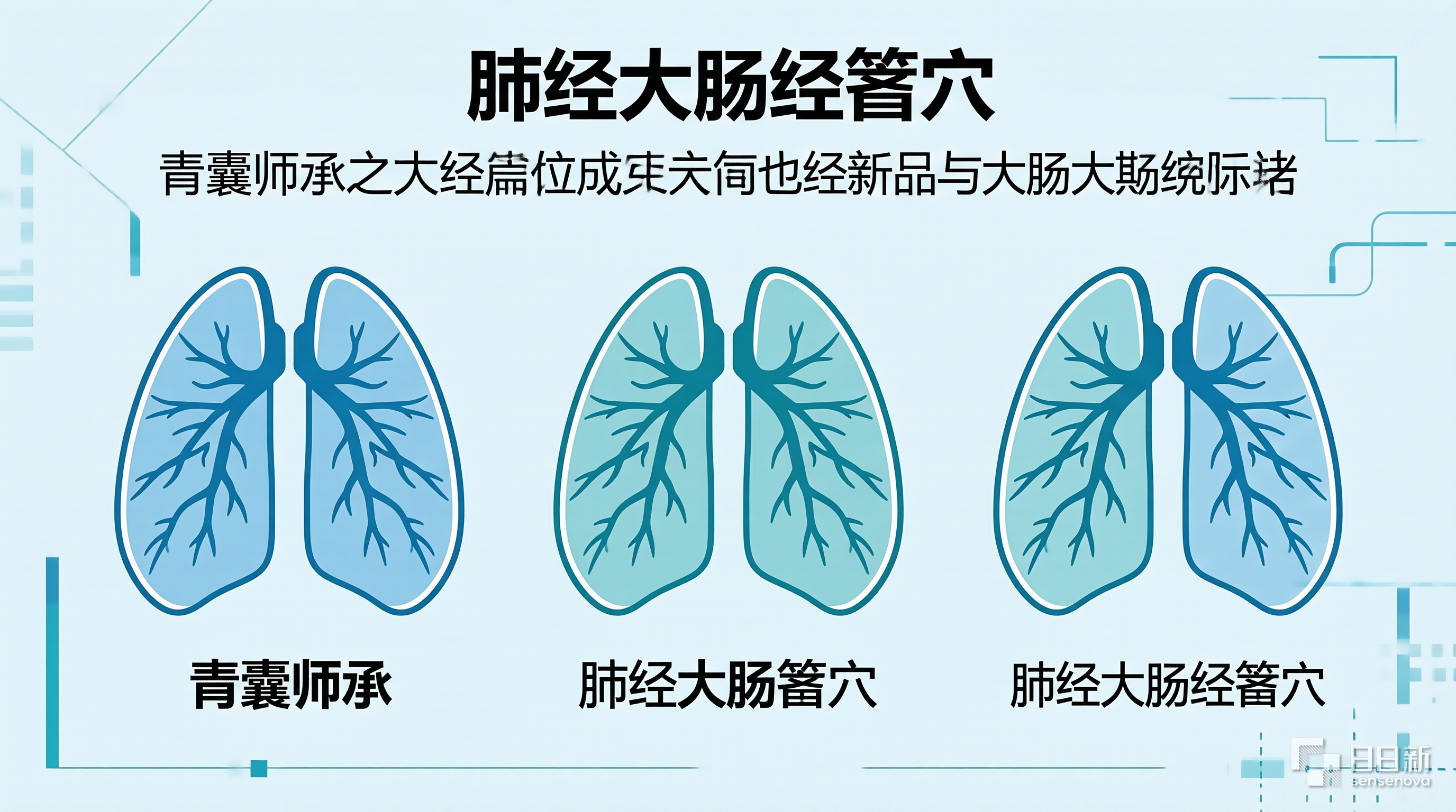 肺经大肠经腧穴考点