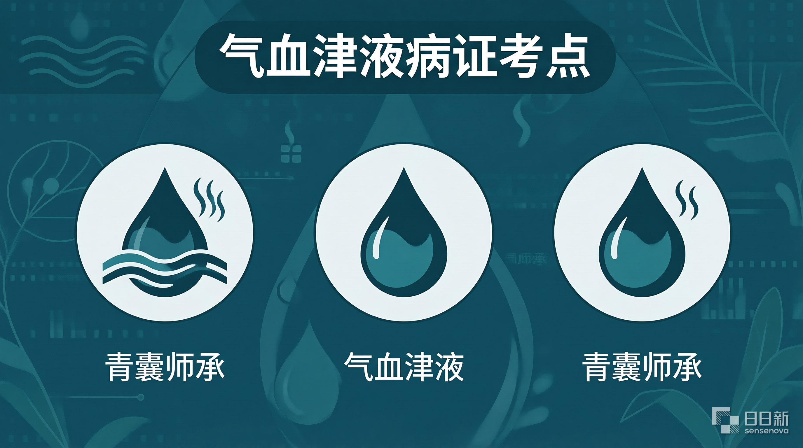 气血津液病证考点